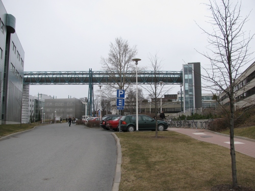 Kuva Idiootti Pinni B